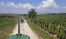17_rehberg_krems_ott_026