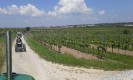 17_rehberg_krems_ott_027