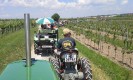 17_rehberg_krems_ott_028