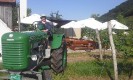17_rehberg_krems_ott_043