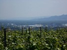 17_rehberg_krems_ott_044