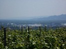 17_rehberg_krems_ott_055