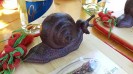26_grossrussbach_004