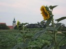 26_grossrussbach_159
