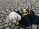 31_regen_deutschland_ott_028