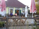 36_schoenfeld_ott_030