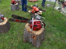 36_schoenfeld_ott_045