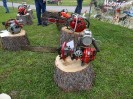 36_schoenfeld_ott_046