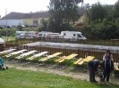 36_schoenfeld_ott_052