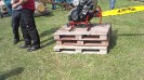 36_schoenfeld_ott_061