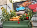 38_erntedankfest_leopoldau_014