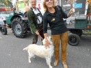 38. Erntedankfest in Leopoldau