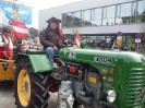 2_waldhausen_faschingsumzug_009