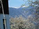 6_buchelbach_ott_004