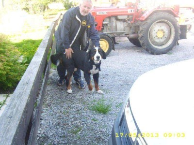 12_grossglockner_ausfahrt_ofst_087