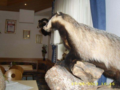 12_grossglockner_ausfahrt_ofst_125