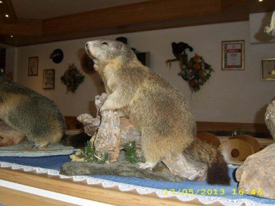 12_grossglockner_ausfahrt_ofst_126