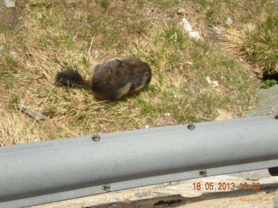 12_grossglockner_ausfahrt_ofst_262