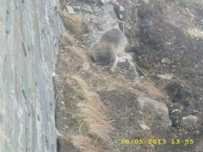 12_grossglockner_ausfahrt_ofst_275