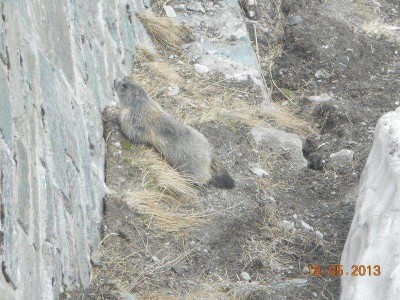12_grossglockner_ausfahrt_ofst_284