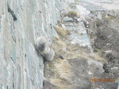 12_grossglockner_ausfahrt_ofst_285