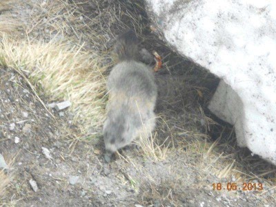 12_grossglockner_ausfahrt_ofst_286