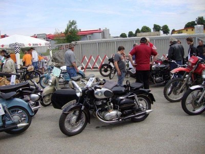14_vitis_ott_020