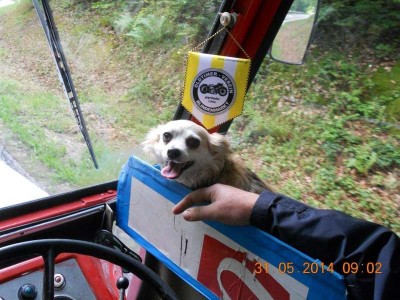 15_aumuehle_16_int_vw_kaefer_ottt_017