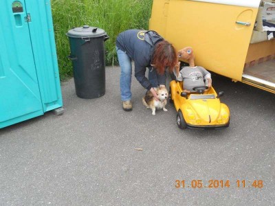 15_aumuehle_16_int_vw_kaefer_ottt_027