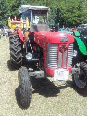 16_stranzendorf_tott_010