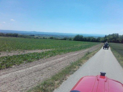 16_stranzendorf_tott_031
