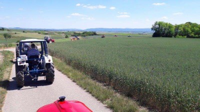 16_stranzendorf_tott_037