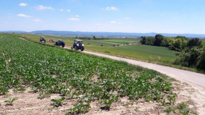 16_stranzendorf_tott_039