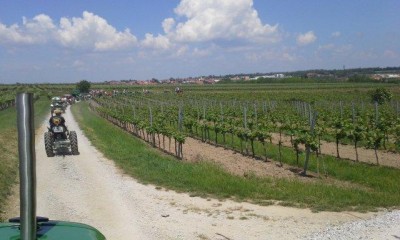 17_rehberg_krems_ott_027