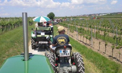 17_rehberg_krems_ott_028