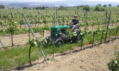 17_rehberg_krems_ott_031