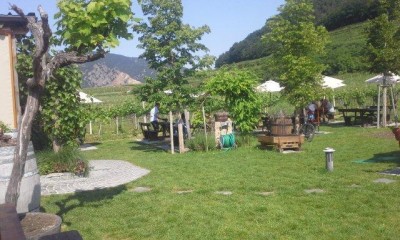 17_rehberg_krems_ott_042