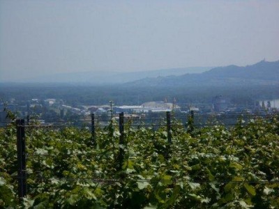 17_rehberg_krems_ott_055