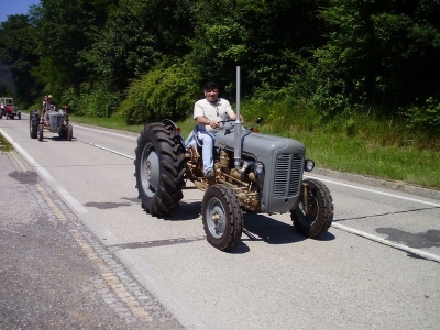 1. Hirschenau 206 Starter 14.Juni.2009