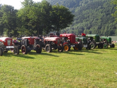1. Hirschenau 206 Starter 14.Juni.2009