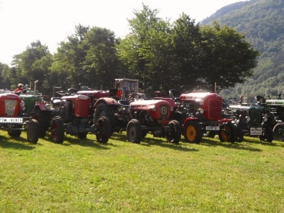 1. Hirschenau 206 Starter 14.Juni.2009