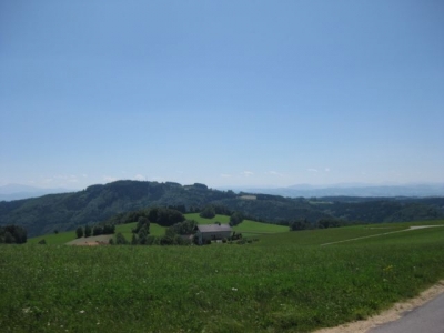 1. Hirschenau 206 Starter 14.Juni.2009