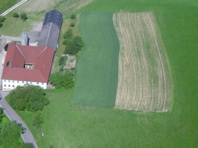 1. Hirschenau 206 Starter 14.Juni.2009
