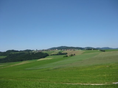 1. Hirschenau 206 Starter 14.Juni.2009