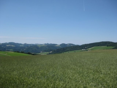 1. Hirschenau 206 Starter 14.Juni.2009