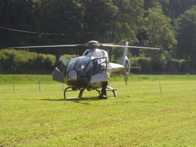 1. Hirschenau 206 Starter 14.Juni.2009