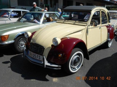 25_steinhaus_wels_ott_047