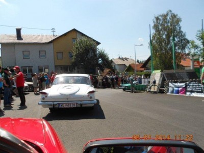 25_steinhaus_wels_ott_124