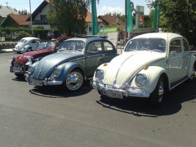 25_steinhaus_wels_ott_138