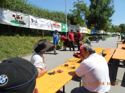 25_steinhaus_wels_ott_146